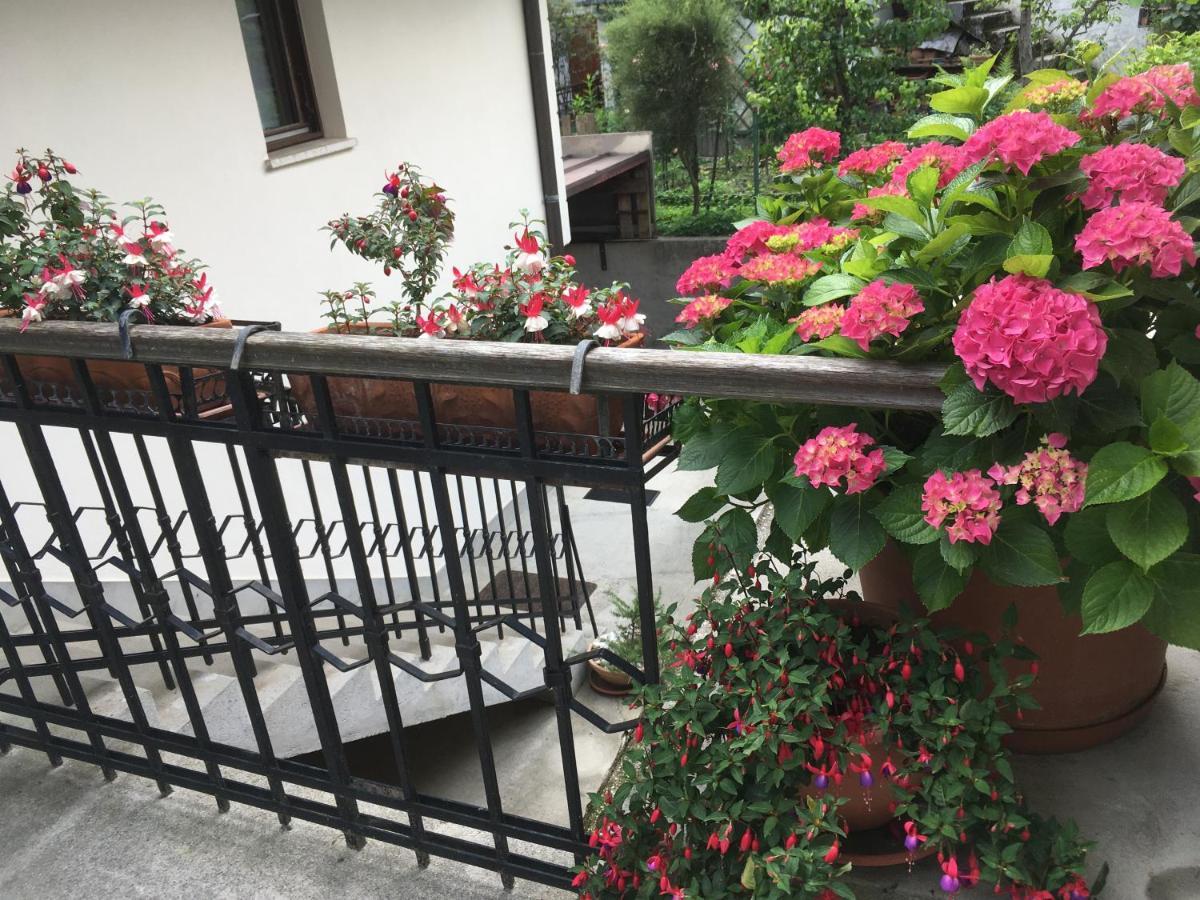 House Natura With Garden Bovec Exterior foto